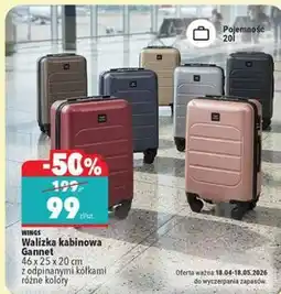Biedronka Walizka kabinowa Gannet 46 x 25 x 20 cm z odpinanymi kółkami różne kolory WINGS oferta