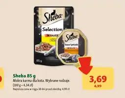 Maxi Zoo Mokra karma dla kota Sheba oferta