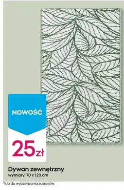 Pepco Dywan zewnętrzny oferta