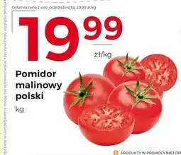 Frac Pomidory Polski oferta
