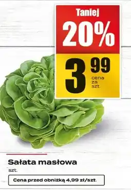 Supeco Sałata masłowa oferta