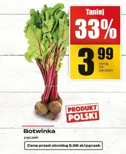 Supeco Botwinka pęczek oferta