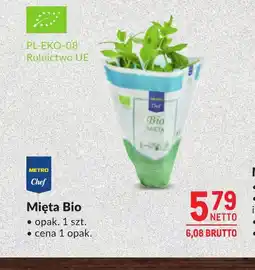 Makro Mięta Metro Chef oferta