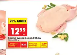 Biedronka Kaczka O oferta