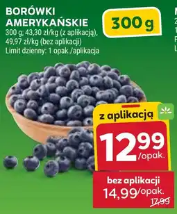Stokrotka Borówki amerykańskie oferta