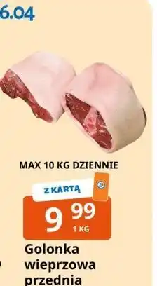 Golonka wieprzowa przednia