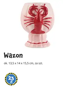 Tedi Wazon oferta