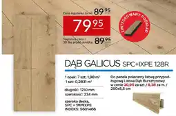 Abra Panel dąb galicus oferta