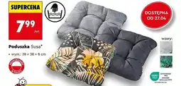 Biedronka Poduszka Susa oferta