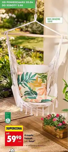 Biedronka Krzesło brazylijskie o wym. 130 x 100 cm oferta