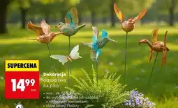 Biedronka Dekoracja ogrodowa na piku oferta