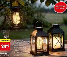 Biedronka Lampka solarna LED oferta
