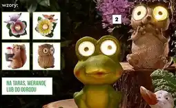 Biedronka Figurka solarna w kształcie ślimaka lub kotka oferta