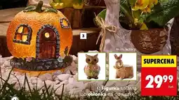 Biedronka Figurka solarna lub osłonka na doniczkę oferta