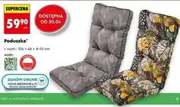 Biedronka Poduszka oferta