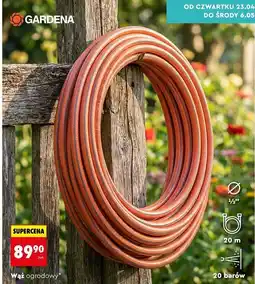 Biedronka Wąż ogrodowy oferta