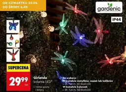 Biedronka Girlanda solarna LED* gardenic oferta