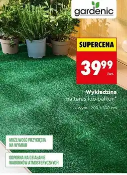 Biedronka Wykładzina na taras lub balkon oferta