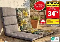 Biedronka Poduszka oferta