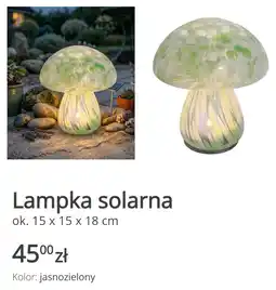 KiK Lampka solarna oferta