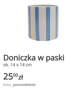 KiK Doniczka w paski oferta