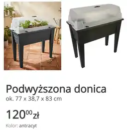 KiK Podwyższona donica oferta