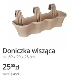 KiK Doniczka wisząca oferta