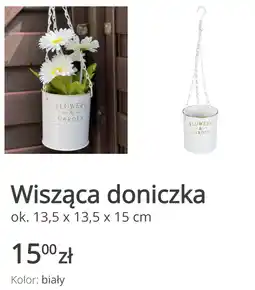 KiK Wisząca doniczka oferta