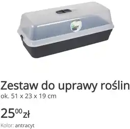 KiK Zestaw do uprawy roślin oferta