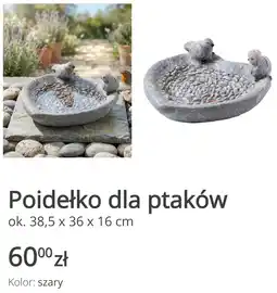 KiK Poidełko dla ptaków oferta