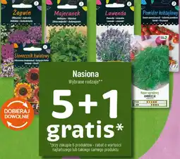 Polomarket Nasiona Wybrane rodzaje oferta