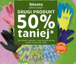 Polomarket Rękawice wybrane rodzaje oferta