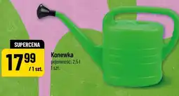 Polomarket Konewka oferta
