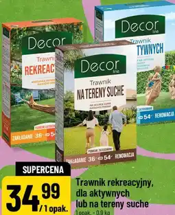Polomarket Trawnik rekreacyjny, dla aktywnych lub na tereny suche Decor line oferta