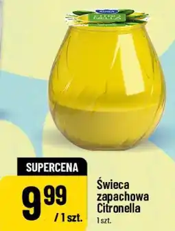 Polomarket Świeca zapachowa Citronella oferta