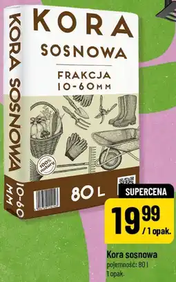 Polomarket Kora sosnowa oferta