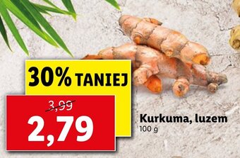 Kurkuma 100g
