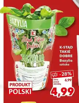 Kaufland Bazylia sztuka oferta