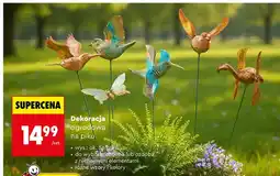 Biedronka Dekoracja ogrodowa na piku ptaki oferta