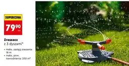 Biedronka Zraszacz z 3 dyszami oferta