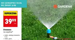Biedronka Zraszacz na szpilce oferta