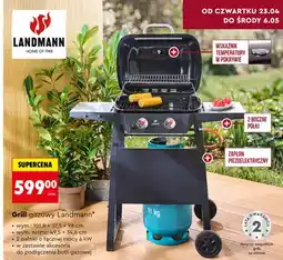 Biedronka Grill gazowy oferta