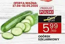 Wafelek Ogórek szklarniowy oferta