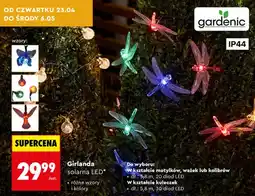 Biedronka Girlanda solarna LED oferta