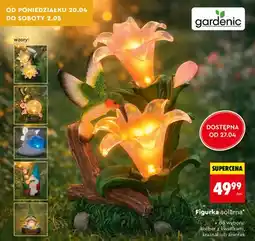 Biedronka Figurka solarna koliber z kwiatami oferta