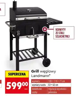 Biedronka Grill węglowy oferta