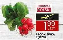 Wafelek Rzodkiewka oferta