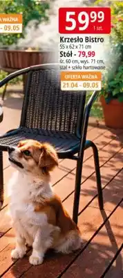 E.Leclerc Krzeło Bistro oferta