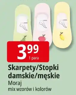 E.Leclerc Skarpety/Stopki damskie/męskie Moraj mix wzorów i kolorów oferta