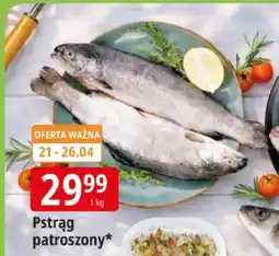 E.Leclerc Pstrąg patroszony oferta